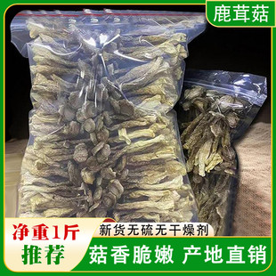 新货n鹿茸菇新货500g干货鹿茸菌新鲜古田脆脆菇干菇煲汤食用菌香