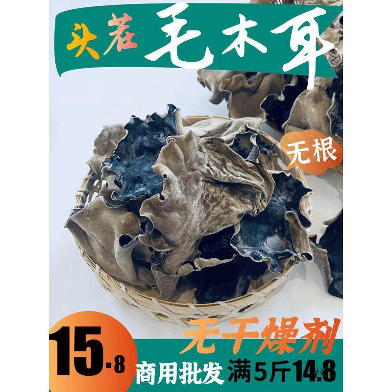 新货毛木耳黑木耳500g脆木耳地耳头茬毛木耳大木耳干货四川大木耳