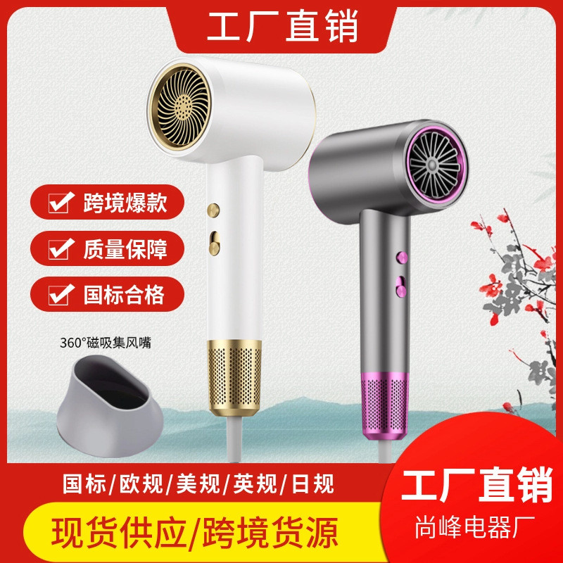 电吹风机家用负离子护发冷热风发廊大功率吹风筒恒温网红代发