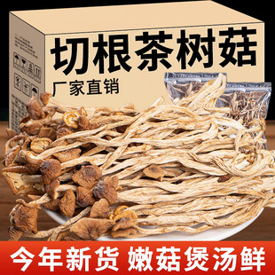 新货切不开伞茶树菇云南特产茶树菇干货根茶树菇非农家特产茶树菇