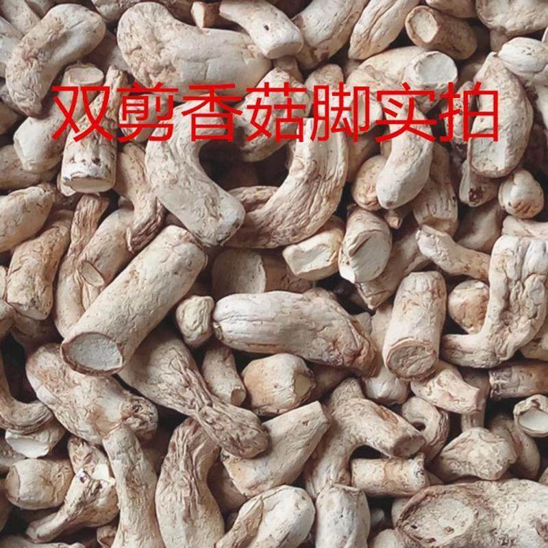 香菇脚干货商用500g干香菇根双剪干香菇腿大香菇脚丁云南香菇菌脚