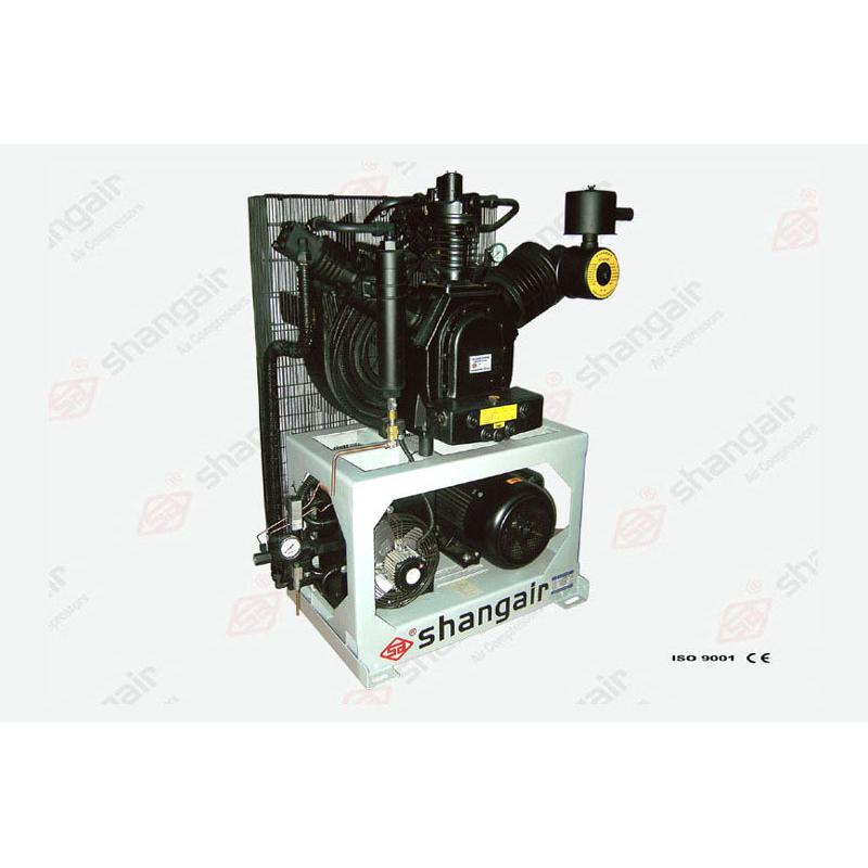 热销70whs系列（立式单机）/南京尚爱水电站专用中高压空压机