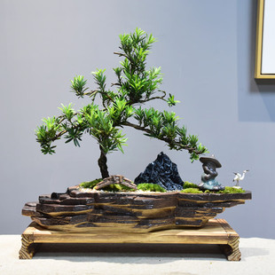 松海罗汉松盆景底座室内绿植盆栽禅意趣味书房茶室摆件带造型盆景