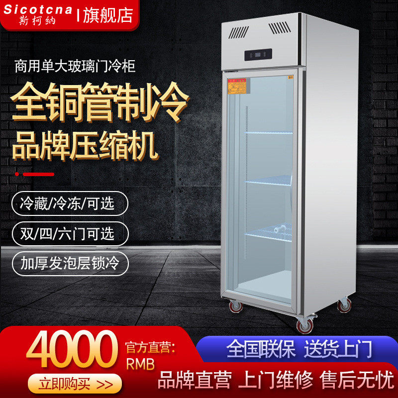 斯柯纳单门玻璃冰箱冰柜商用酒店接线端子