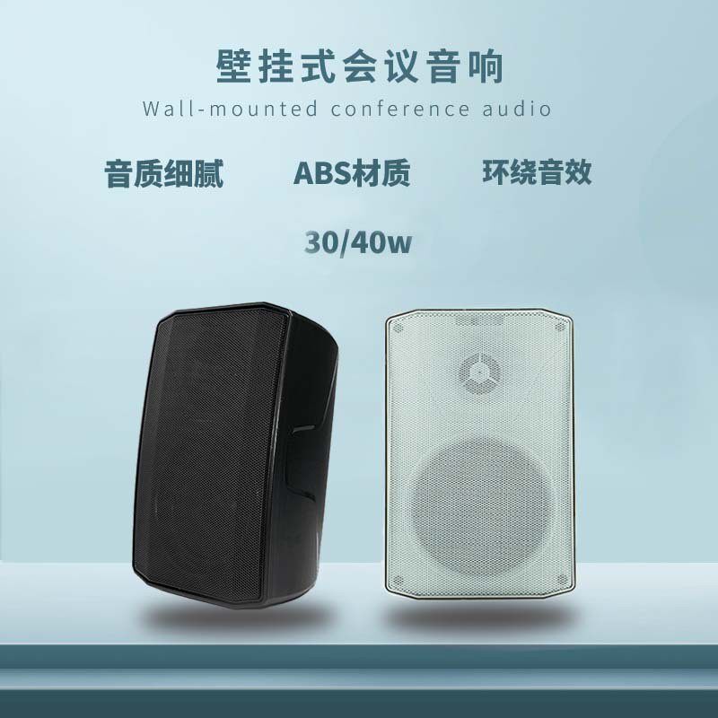 壁挂音响 工程用定压喇叭 校园门店超市商场店铺会议 壁挂音箱