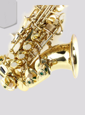 麦格维特乐器MSS-410 降B弯管儿童高音萨克斯风乐器 表面漆金