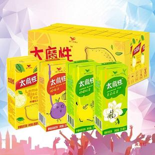 新货统一太魔性柠檬红茶250ml*24盒装茉莉花茶酸梅汤果味茶饮料饮