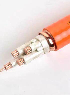 热销国标矿物质绝缘电缆线bttrz/yttw/ng-a（btly）/电线柔性防火