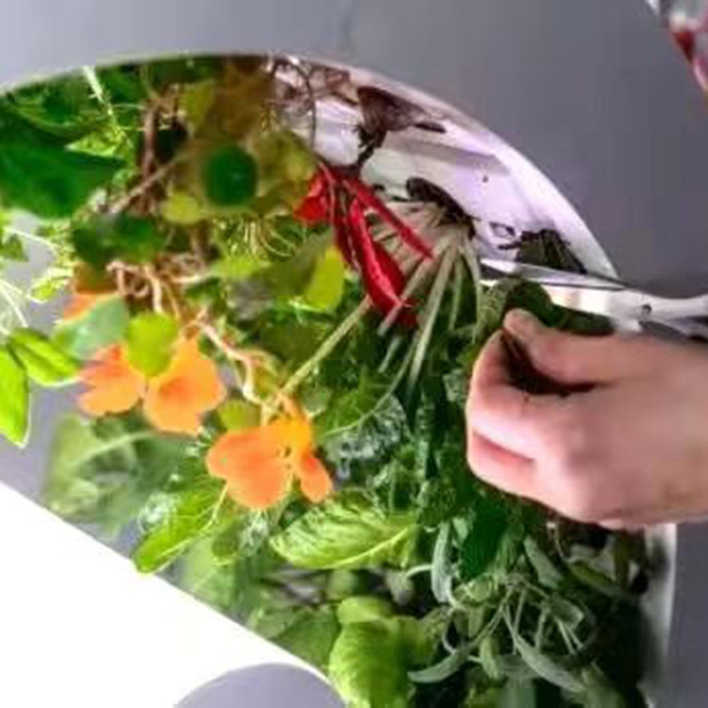 热销长机智能无土栽培种菜机植物花蕊育苗播种机水培蔬菜植物生室