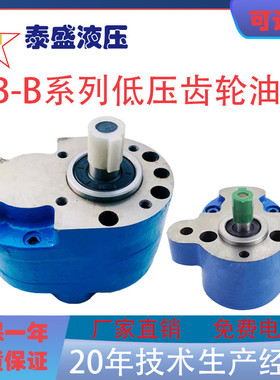 CB-B10/B6/B4/B16/B25/B32/B40/B50/B63/B80/100/B125F齿轮油泵RW