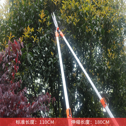 进口园艺伸缩绿篱剪大剪刀篱笆园林长柄修枝剪高枝剪高空剪枝剪刀
