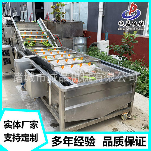 热销清洗果蔬气泡清洗机龙须菜清洗机净菜银耳设备鱼腥草清洗机