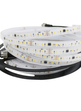 dmx512 10可2835单色追光流水灯带24v 120灯段寻址可编程户外亮化