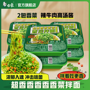 新日期白象香菜拌面香菜方便面懒人泡面速食面超香香菜味107g*12