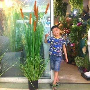 洋葱草批发仿真盆栽水蜡烛景观园艺植物民宿软装家居绿色装饰摆件