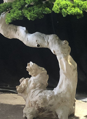 仿真树绿色植物新中式枯山水室内大型摆件酒店大堂装饰景观树