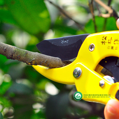 热销批发老农夫柄工具s270直锯s330弯锯s350直锯锯片木柄塑系列省