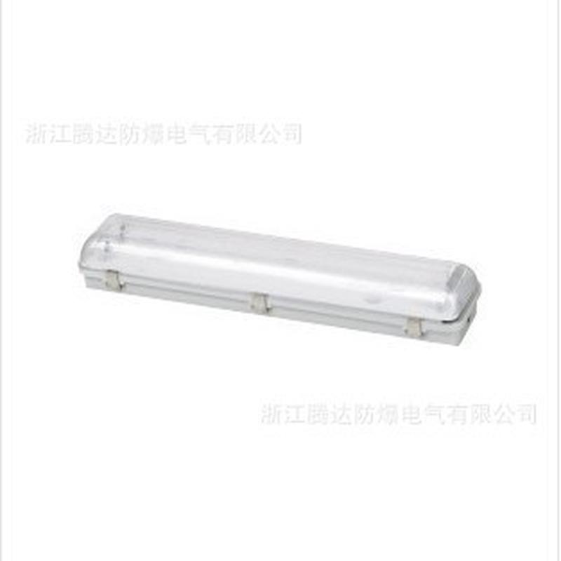BYS三基色防爆防腐荧光灯IIC吸顶式防爆净化灯