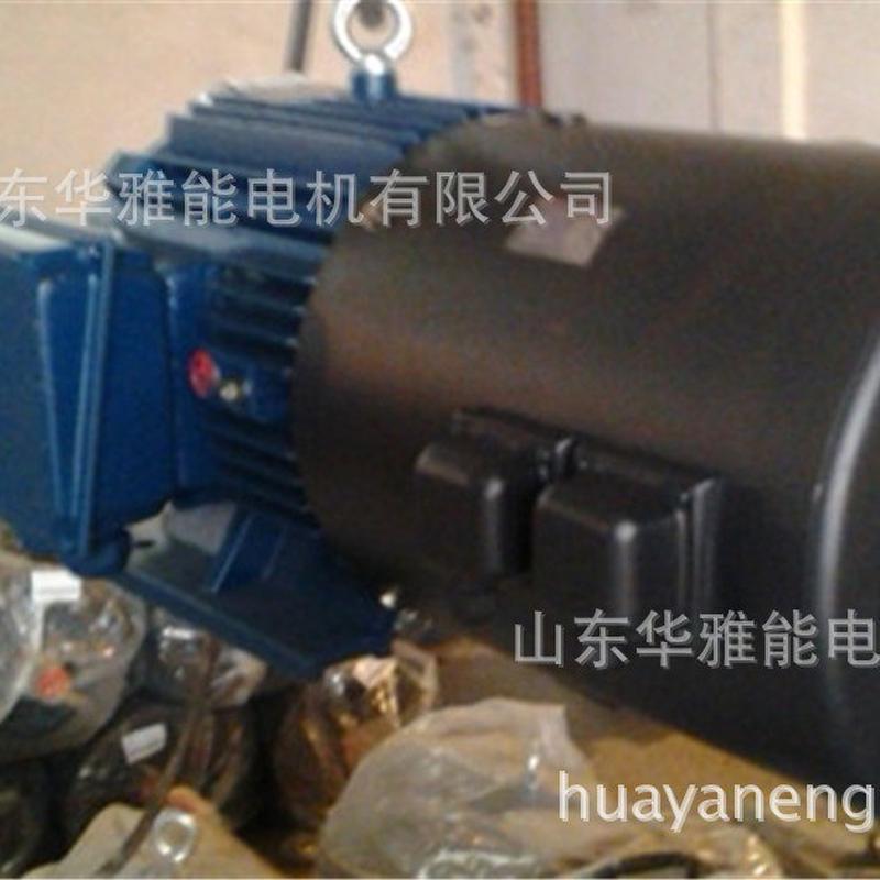 YE4-100L2-4-3电机G高原型YE4电机特制加长轴，法兰专用，带衬套