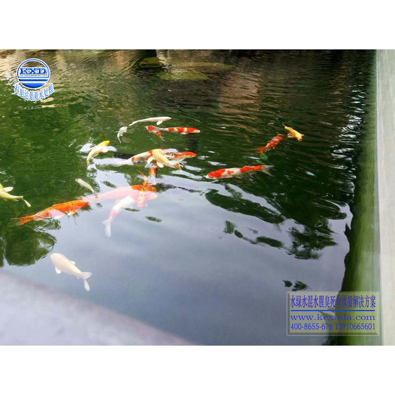 新款科旭達(dá)水清魚池過濾廣東韶關(guān)庭院水池過濾器錦鯉澈潔凈免費設(shè)