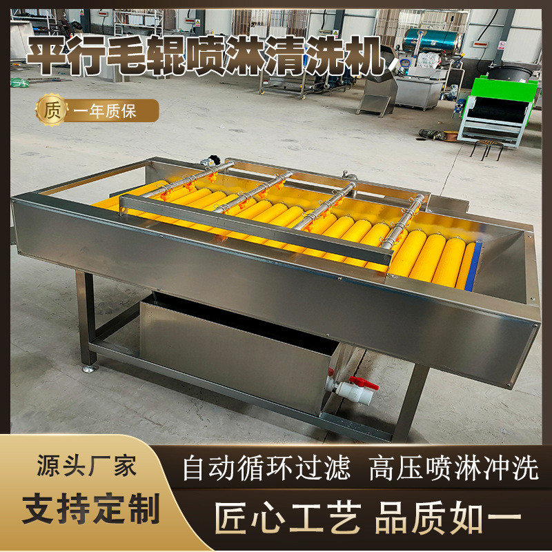 海蛎子毛刷清洗机脐橙毛辊清洗打蜡机鲜姜去泥清洗设备厂家供应