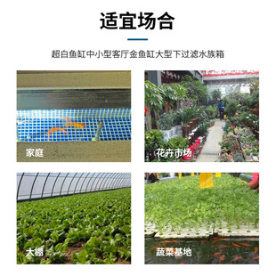 热销pp塑料板过滤盒大型观赏箱箱锦鲤池鱼池水乌龟海鲜池防晒露天