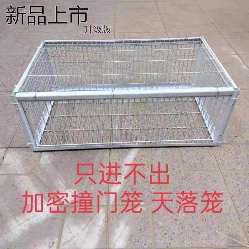 现货Q捕鸽加密鸽子撞门笼天落笼只进不出鸽子笼野外自动撞门鸽子