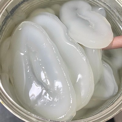 新日期水妈妈海底椰罐头糖水罐头棕榈果罐头即食白玉丹罐头烘焙茶