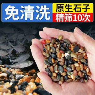 饰底砂龟缸741 纯天然溪流沙石原生鱼缸铺底石鹅卵石小石头造景装