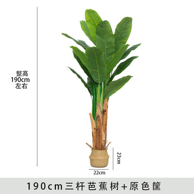 芭蕉叶香蕉叶橱窗北欧餐厅树叶绿植假盆栽室内装饰摆件