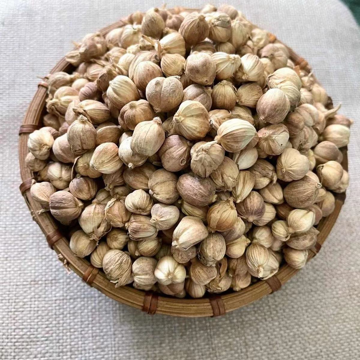 精选纯真手选白豆蔻白豆扣寇包邮无硫白寇仁白叩香料白扣粉