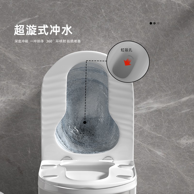 两用马桶蹲坐一体式可蹲可坐虹吸式座便器双用蹲便器蹬坐厕二合一