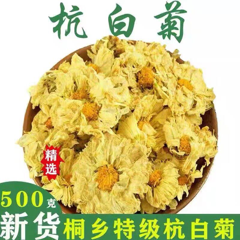 新货菊花茶杭白菊桐乡特级正宗杭菊杭州白菊花茶贡菊黄菊500g正品