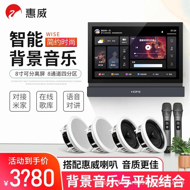 惠威VX5-C吸顶音响天花喇叭吊顶音箱智能背景音乐主机家庭K歌话筒
