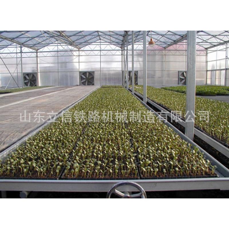 热销固定苗床工艺花卉固定设施农业温室栽植床苗床