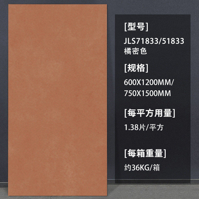 客厅兰迪瓷砖600x1200柔光微水泥地板砖莫网红餐厅厨房民宿墙砖