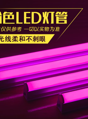 led灯管粉红色日光灯卧室情趣调情一体彩色T5T8氛围灯条长条光管