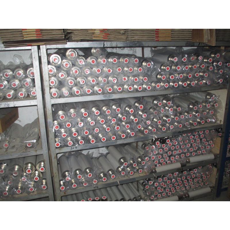 热销熔断器xrnc-12kv/31.5a（电容保护用）高压限流现货供应