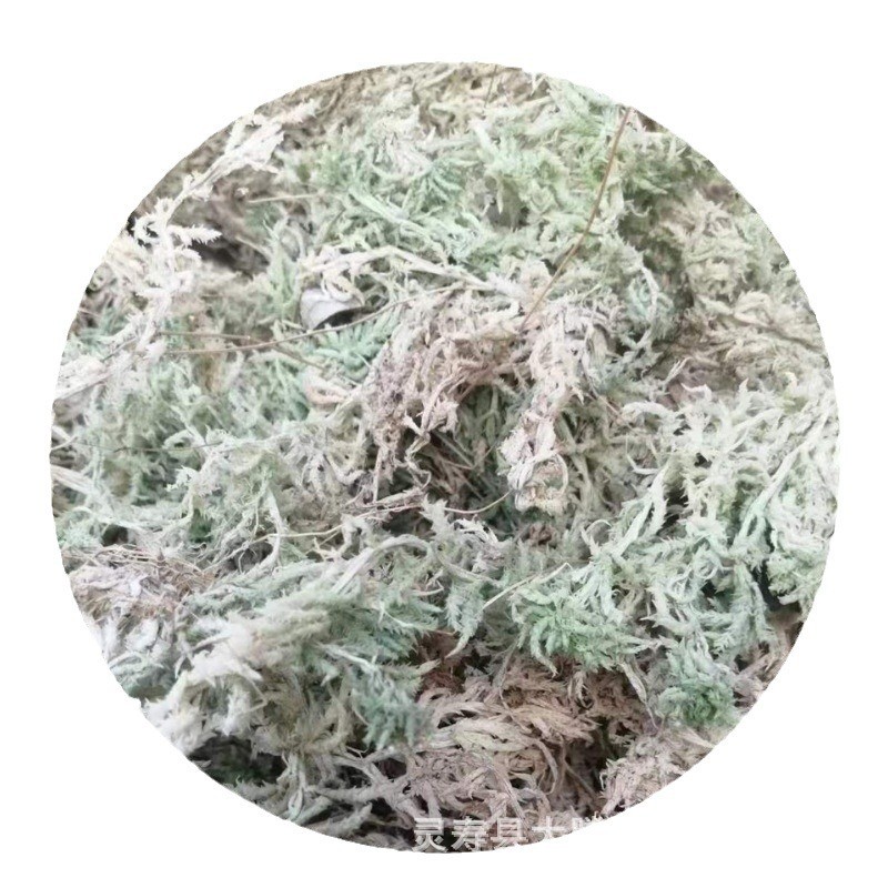 大量散装优质干水苔兰花石斛食虫植物保湿爬宠垫底专用干水苔