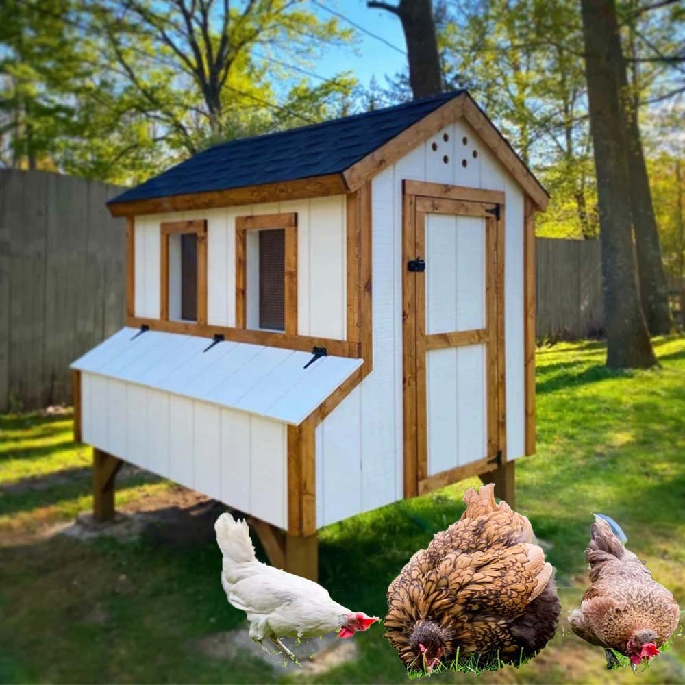 热销跨境别墅厂家直供鸡棚鸡棚搭建小型家用户外养鸡场鸡舍鸡笼养