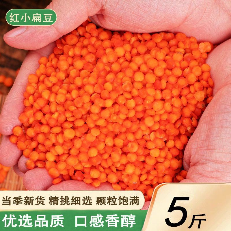 官方推荐红小扁豆25年新豆子5斤农家吃的番茄豆沙拉豆类五谷杂粮