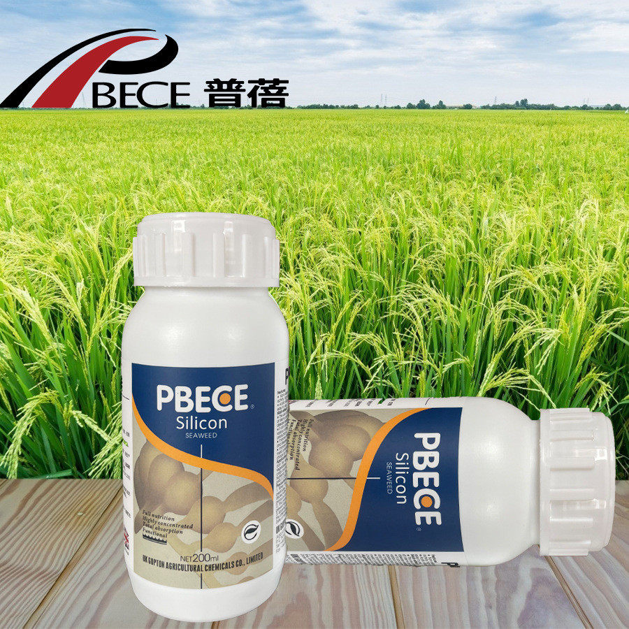 普蓓液体硅肥专用蔬菜果树叶面肥水稻抗倒伏重茬防酸性硅厂家直发,鲜花速递/花卉仿真/绿植园艺,家庭园艺肥料,淘宝优惠券,粉丝福利购,淘宝优惠卷