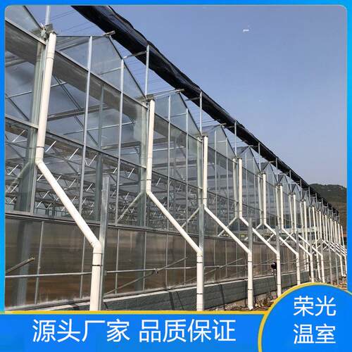热销农业种植连大棚温室大棚园艺采摘钢架栋反季节种植快速升温保
