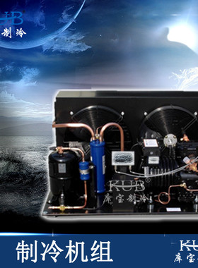热销供应10匹谷轮机组保鲜冷藏库室外风冷机组bfs101敞开制冷机组
