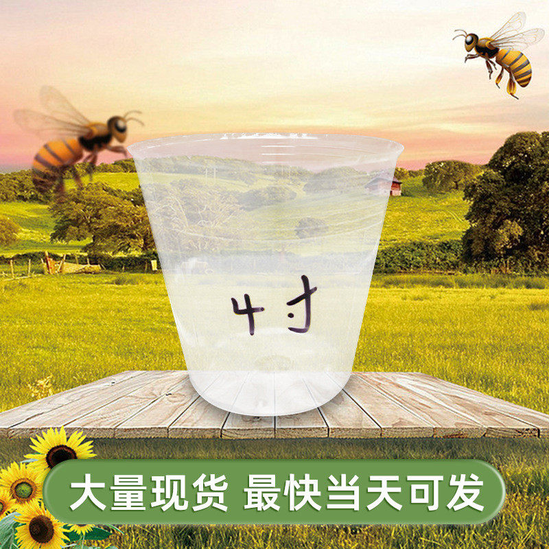 透明育苗杯家庭兰花花盆多肉塑料营养白色透气打孔种植美植袋批发