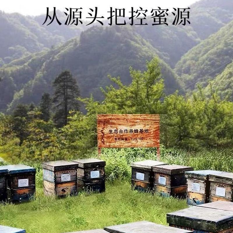新日期蜂蜜农家天然野生态500g两瓶装挤压瓶土蜂蜜洋槐枣花蜂蜜