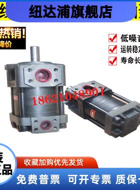 NT2-G10F G12F G16F G20 G25F G32F NB4-G63F G50F 内啮合齿轮泵