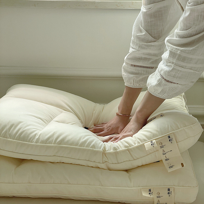 热销2023新款a类五分区拍立体枕头枕芯48*74cm家用单人枕一对承托