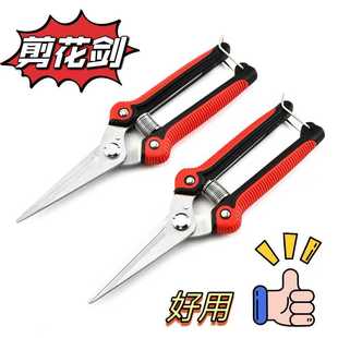 蝴蝶兰剪花剑专用剪刀不锈钢家用园艺修枝剪园林花卉修剪工具