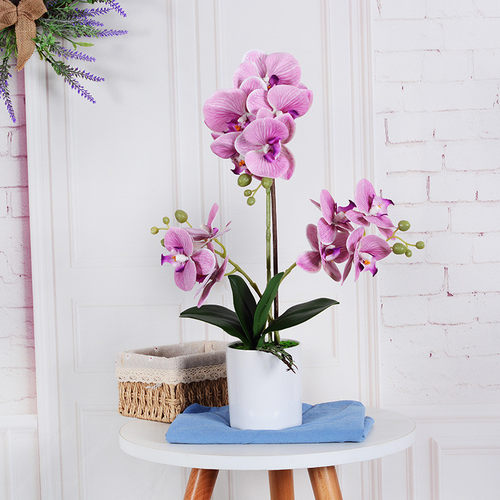 仿真花蝴蝶兰套装批发盆景家居客厅造景摆件装饰北欧桌花外贸兰花